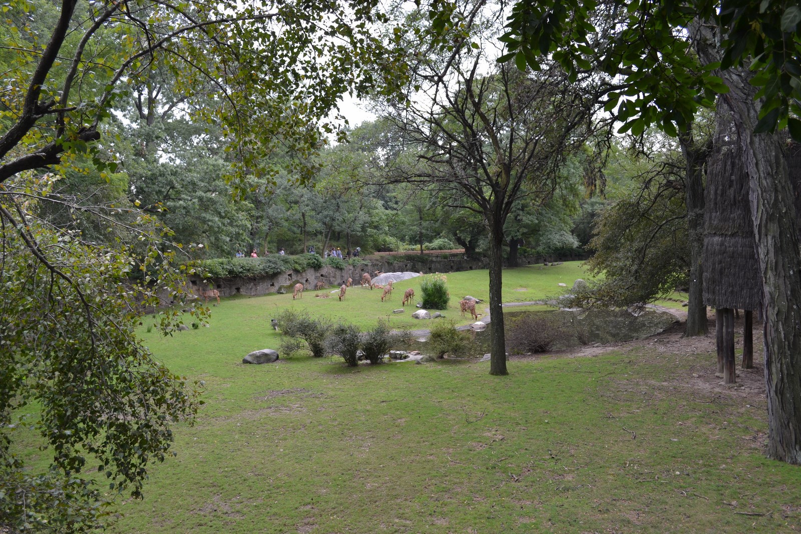 DSC_0800