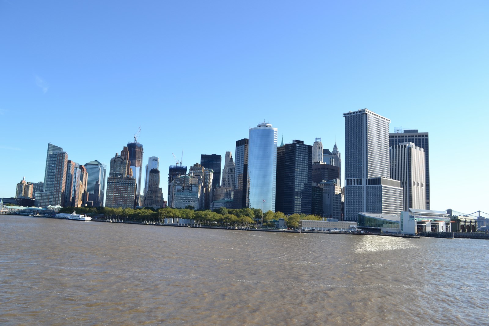 DSC_0084