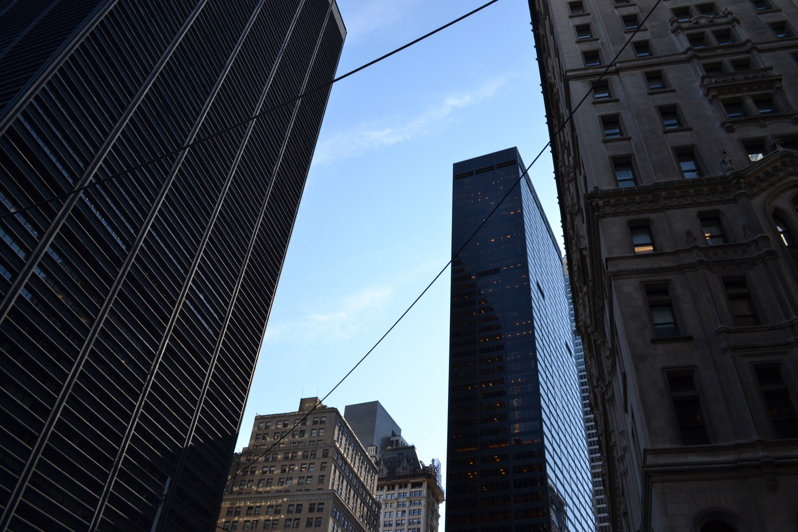 DSC_0151